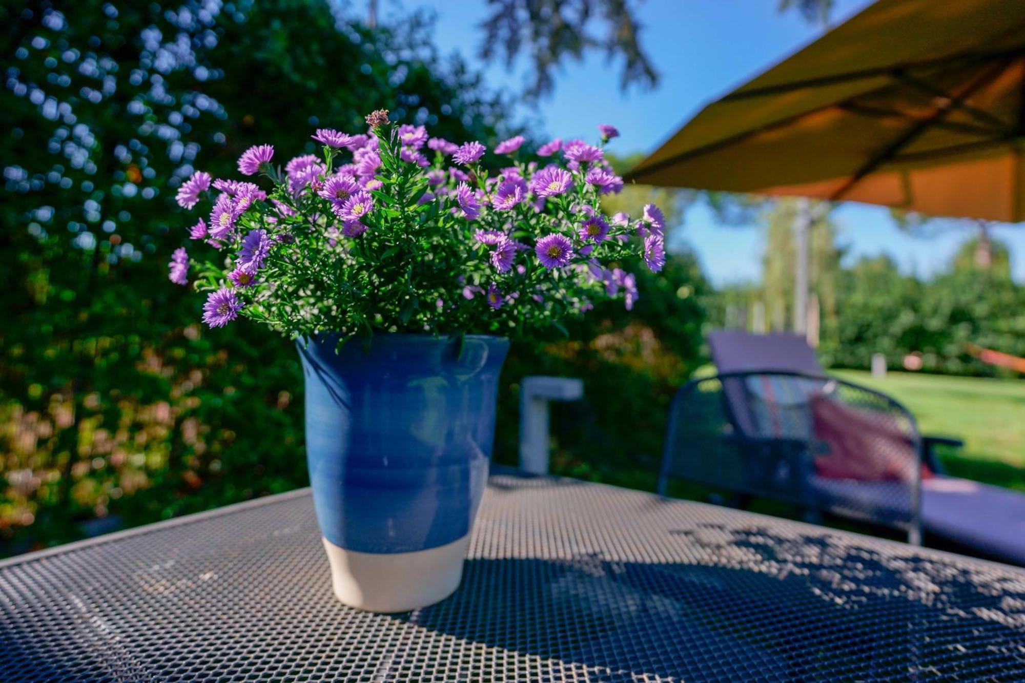 Pixel B&B Ravenna Exteriér fotografie